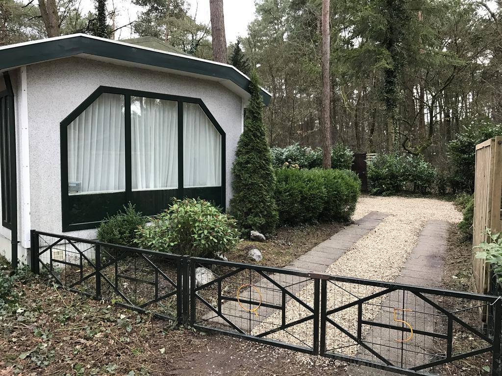 הוילה Doornspijk Chalet Dennenvelt מראה חיצוני תמונה